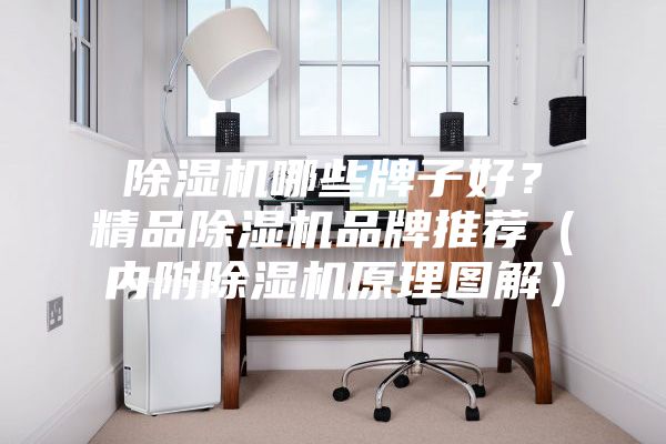 除濕機(jī)哪些牌子好？精品除濕機(jī)品牌推薦（內(nèi)附除濕機(jī)原理圖解）