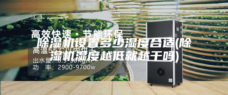 除濕機設(shè)置多少濕度合適(除濕機濕度越低就越干嗎)