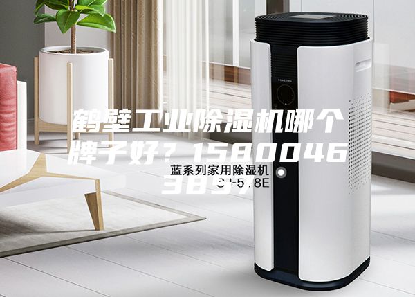 鶴壁工業(yè)除濕機(jī)哪個(gè)牌子好？15800463857