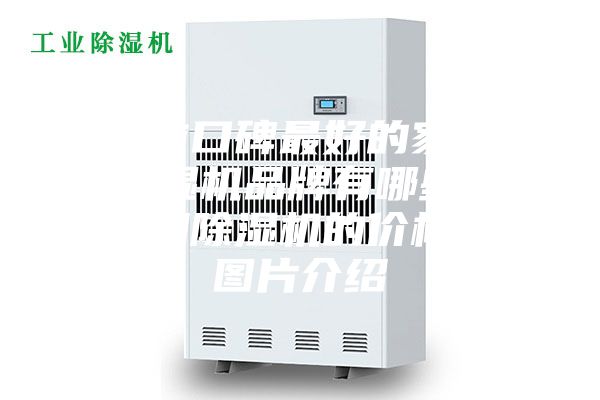 目前口碑最好的家用除濕機品牌有哪些？家用除濕機的價格和圖片介紹