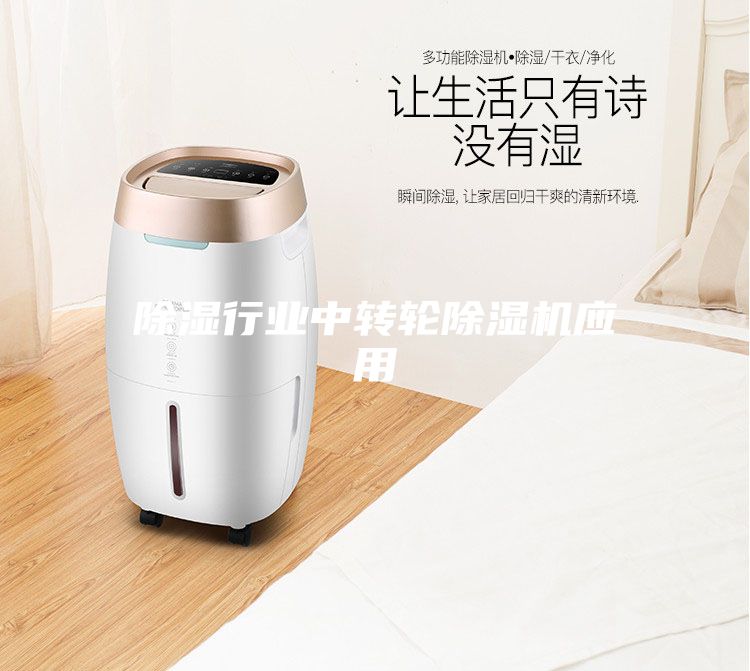 除濕行業(yè)中轉(zhuǎn)輪除濕機應(yīng)用
