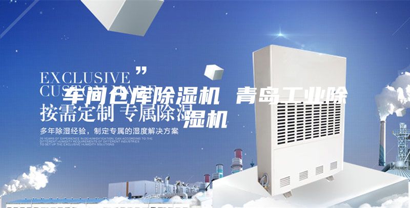 車間倉(cāng)庫(kù)除濕機(jī) 青島工業(yè)除濕機(jī)