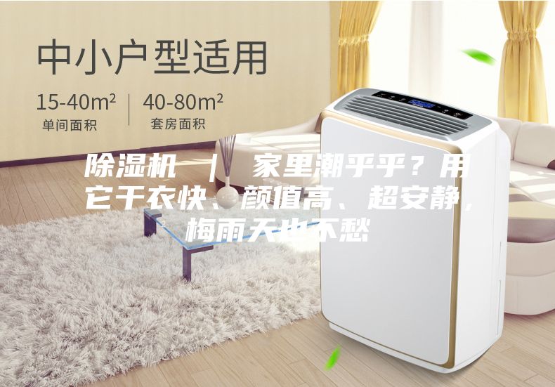 除濕機 ｜ 家里潮乎乎？用它干衣快、顏值高、超安靜，梅雨天也不愁