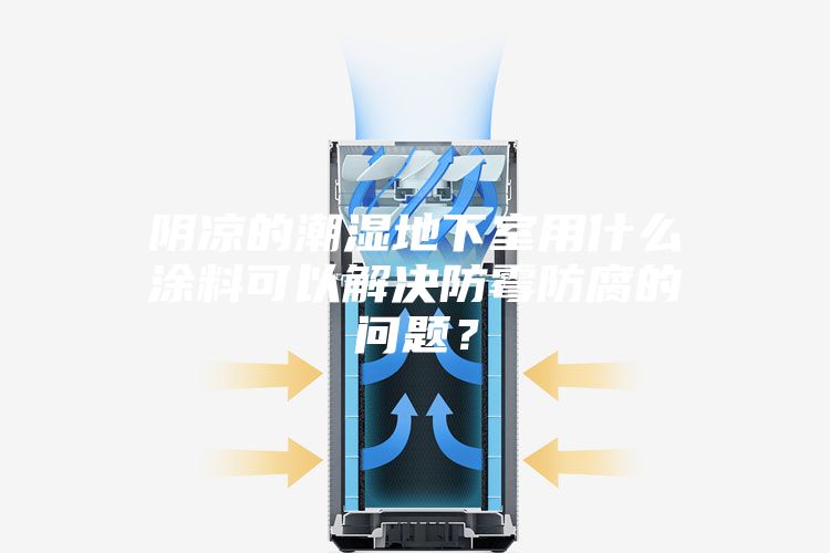 陰涼的潮濕地下室用什么涂料可以解決防霉防腐的問(wèn)題？