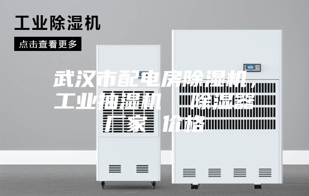 武漢市配電房除濕機(jī)，工業(yè)抽濕機(jī)  除濕器廠家 價(jià)格