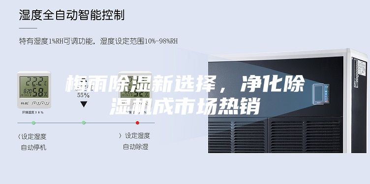 梅雨除濕新選擇,凈化除濕機(jī)成市場(chǎng)熱銷