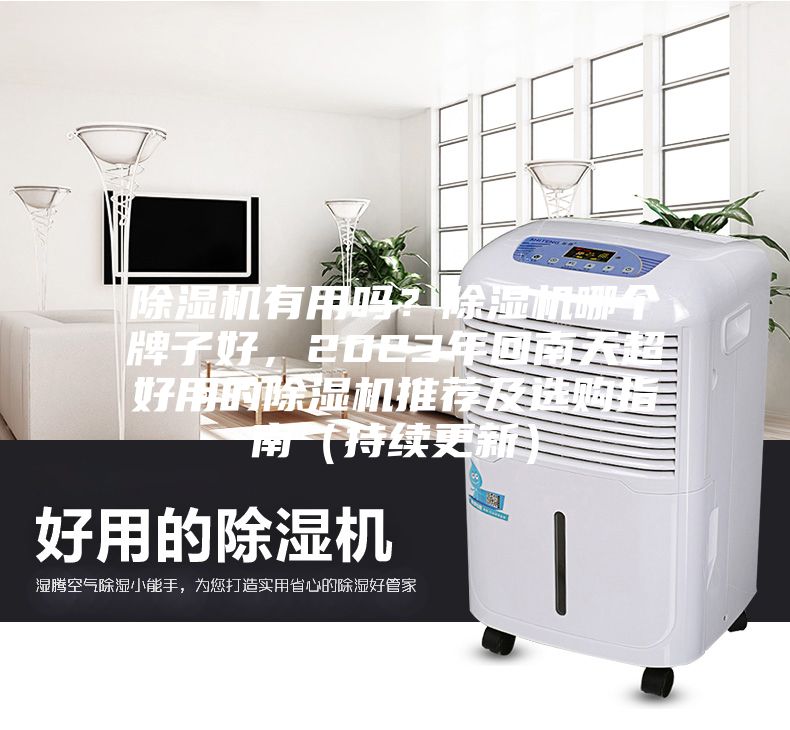除濕機有用嗎？除濕機哪個牌子好，2023年回南天超好用的除濕機推薦及選購指南（持續(xù)更新）