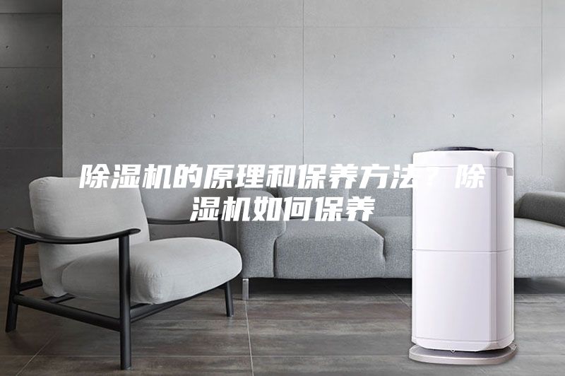 除濕機(jī)的原理和保養(yǎng)方法？除濕機(jī)如何保養(yǎng)