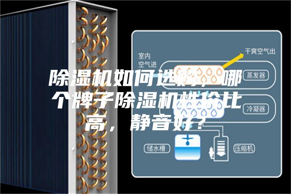 除濕機如何選購，哪個牌子除濕機性價比高，靜音好？