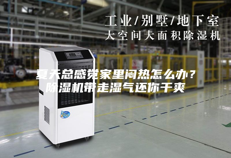 夏天總感覺家里悶熱怎么辦？除濕機帶走濕氣還你干爽