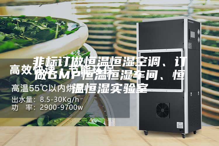 非標(biāo)訂做恒溫恒濕空調(diào)、訂做GMP恒溫恒濕車間、恒溫恒濕實驗室