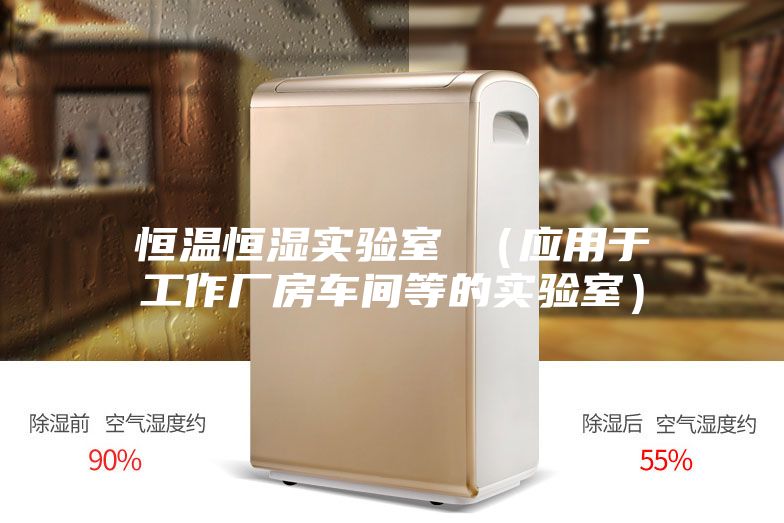 恒溫恒濕實(shí)驗(yàn)室 (應(yīng)用于工作廠房車間等的實(shí)驗(yàn)室)