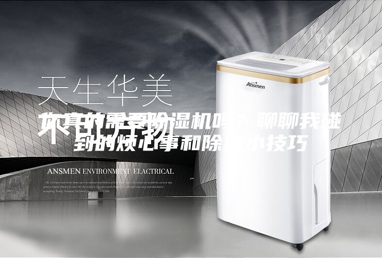 你真的需要除濕機嗎?聊聊我碰到的煩心事和除濕小技巧