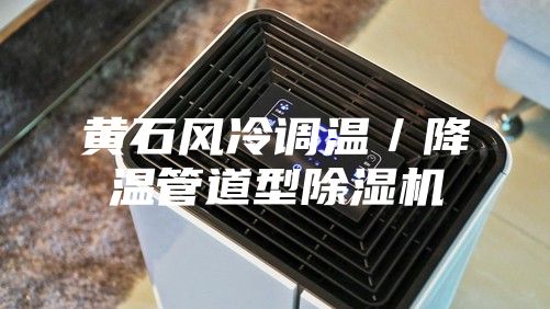 黃石風(fēng)冷調(diào)溫／降溫管道型除濕機