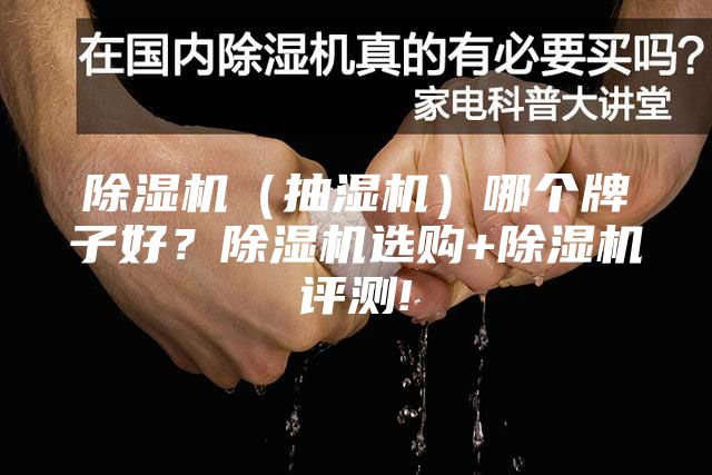 除濕機(jī)（抽濕機(jī)）哪個(gè)牌子好？除濕機(jī)選購(gòu)+除濕機(jī)評(píng)測(cè)!