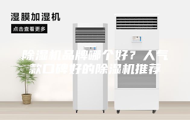 除濕機(jī)品牌哪個(gè)好？人氣款口碑好的除濕機(jī)推薦