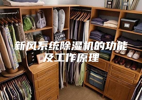 新風(fēng)系統(tǒng)除濕機的功能及工作原理