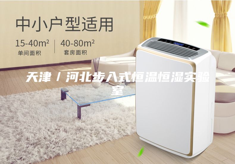 天津/河北步入式恒溫恒濕實(shí)驗(yàn)室