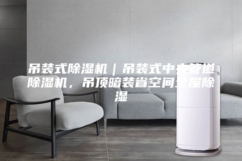 吊裝式除濕機|吊裝式中央管道除濕機,吊頂暗裝省空間全屋除濕