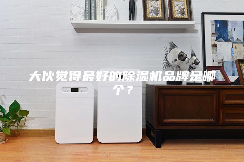 大伙覺得最好的除濕機(jī)品牌是哪個(gè)?