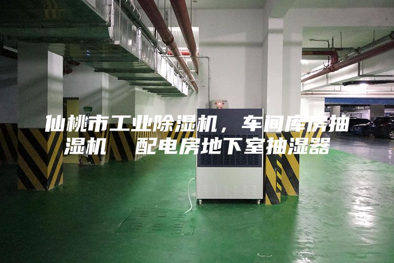 仙桃市工業除濕機,車間庫房抽濕機 配電房地下室抽濕器