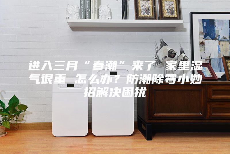 進(jìn)入三月“春潮”來了 家里濕氣很重 怎么辦？防潮除霉小妙招解決困擾