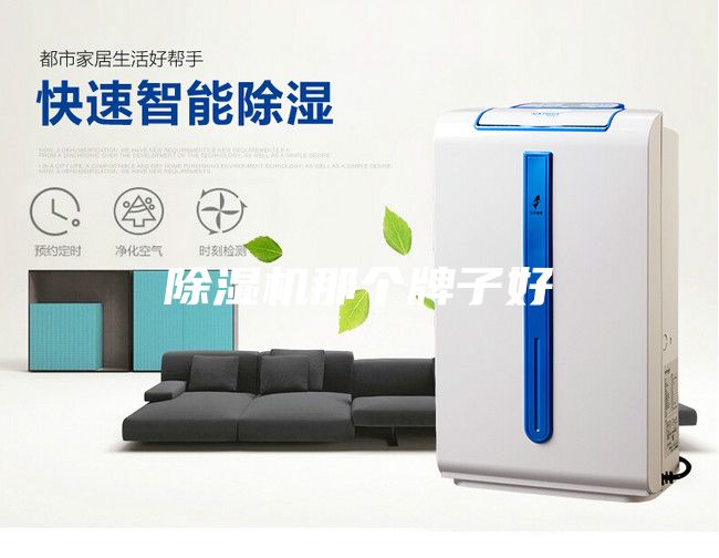 除濕機那個牌子好