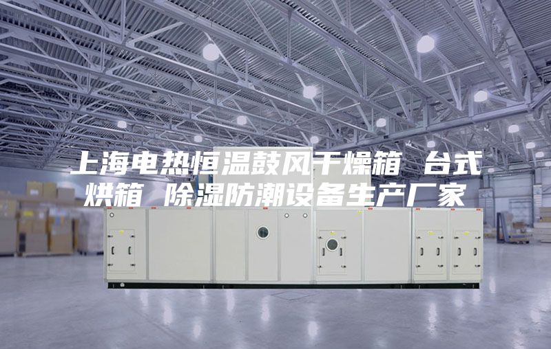 上海電熱恒溫鼓風(fēng)干燥箱 臺(tái)式烘箱 除濕防潮設(shè)備生產(chǎn)廠家