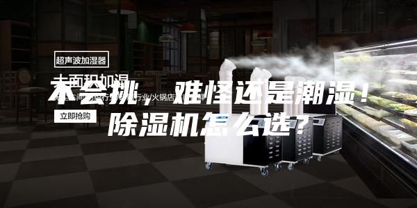 不會挑，難怪還是潮濕！除濕機怎么選？