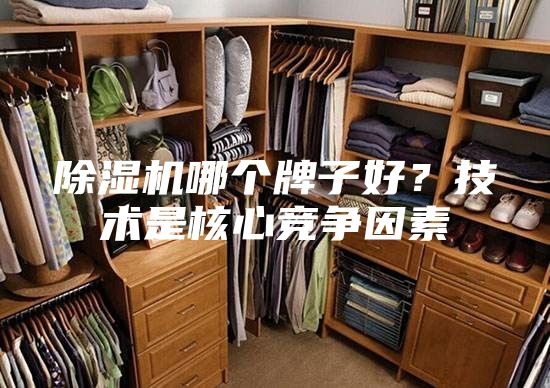 除濕機(jī)哪個牌子好?技術(shù)是核心競爭因素