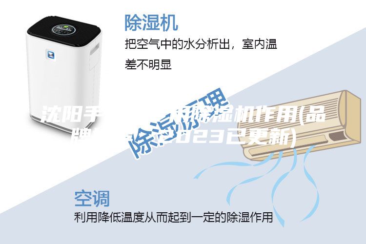 沈陽手套箱專用除濕機作用(品牌推薦:2023已更新)