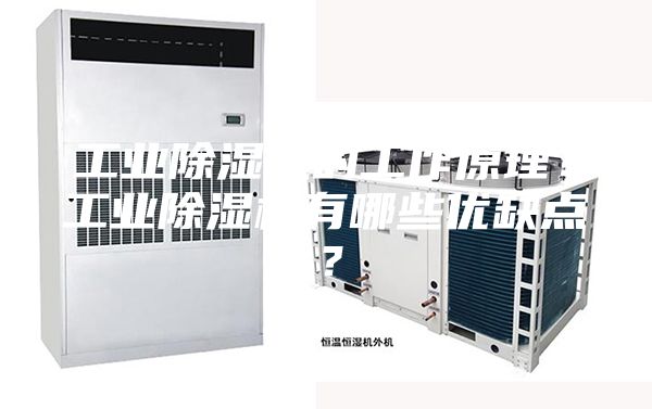 工業除濕機的工作原理？工業除濕機有哪些優缺點？