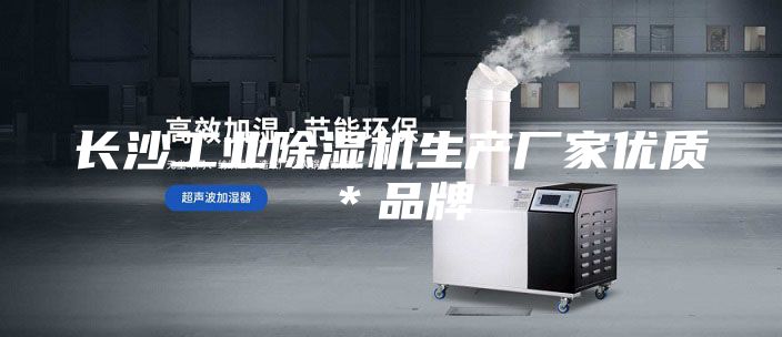 長沙工業(yè)除濕機生產廠家優(yōu)質*品牌