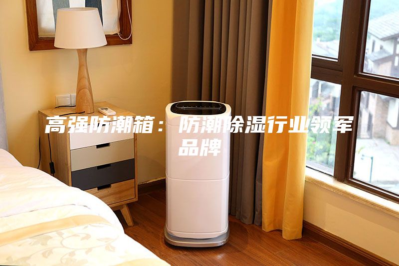高強防潮箱:防潮除濕行業(yè)領(lǐng)軍品牌