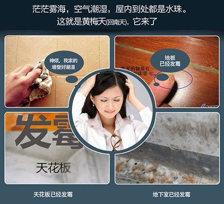 從五方面解讀工業(yè)除濕機、轉(zhuǎn)輪除濕機設備