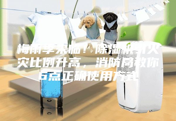 梅雨季來臨!除濕機引火災比例升高,消防局教你6點正確使用方式