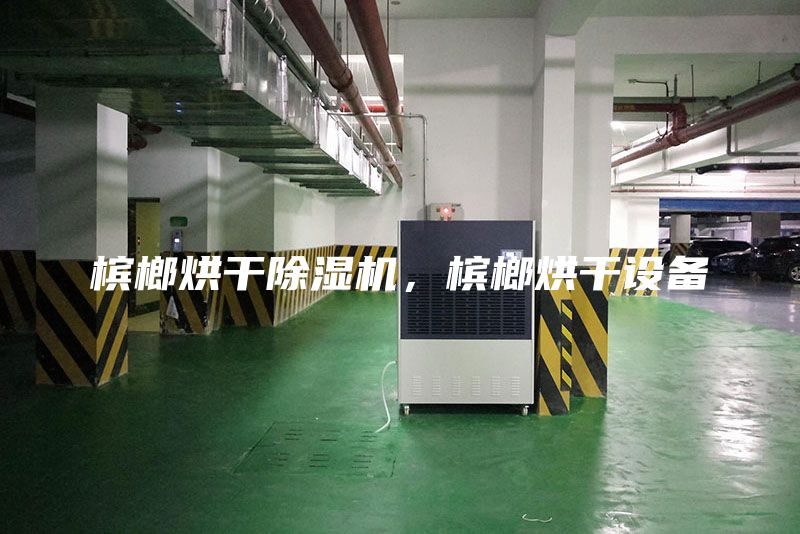 檳榔烘干除濕機，檳榔烘干設(shè)備