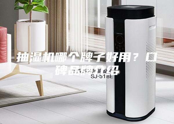 抽濕機哪個牌子好用？口碑品牌介紹