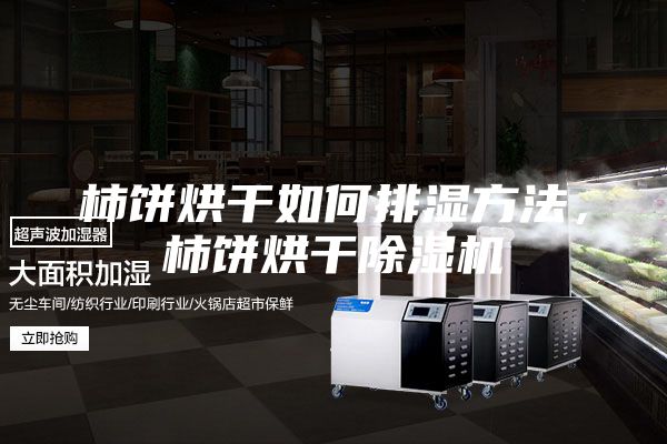 柿餅烘干如何排濕方法，柿餅烘干除濕機(jī)