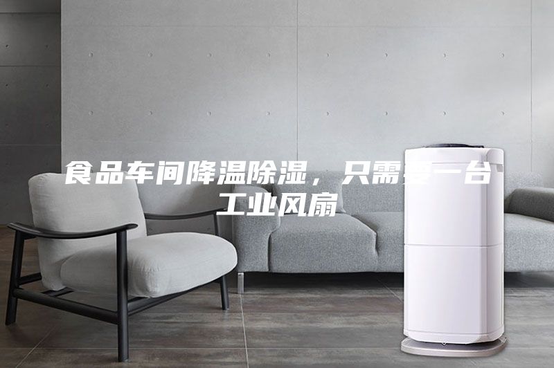 食品車間降溫除濕，只需要一臺工業風扇