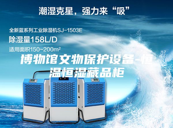 博物館文物保護設(shè)備-恒溫恒濕藏品柜