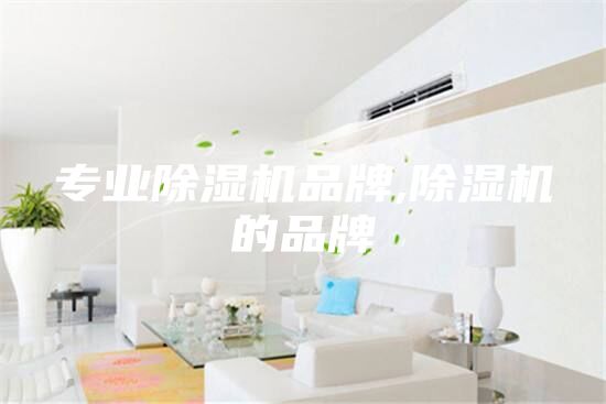 專業(yè)除濕機(jī)品牌,除濕機(jī)的品牌