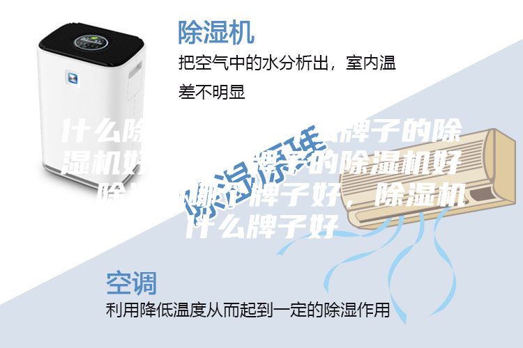 什么除濕機(jī)好，什么牌子的除濕機(jī)好，哪個(gè)牌子的除濕機(jī)好，除濕機(jī)哪個(gè)牌子好，除濕機(jī)什么牌子好