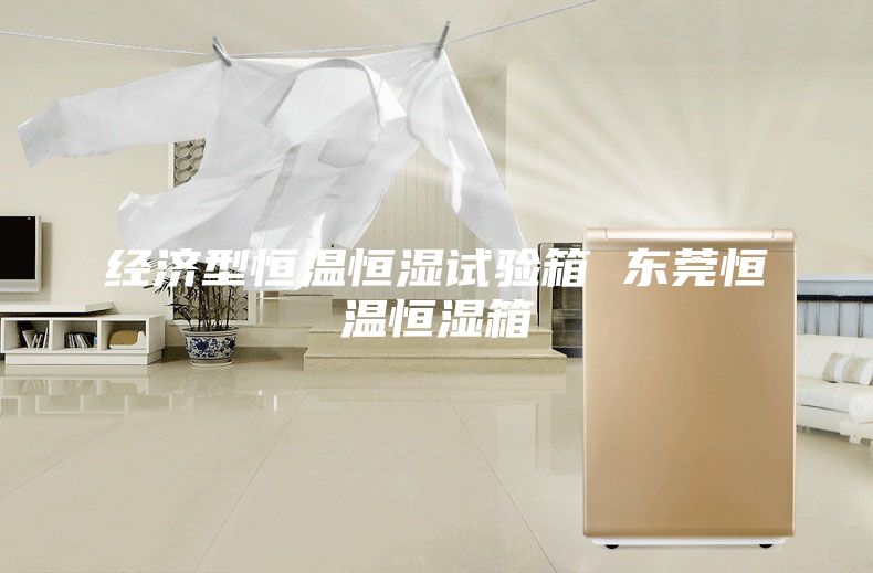 經濟型恒溫恒濕試驗箱 東莞恒溫恒濕箱