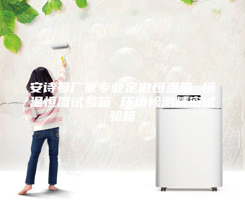 安詩曼廠家專業(yè)定做恒溫箱 恒溫恒濕試驗(yàn)箱 環(huán)境檢測(cè)精密試驗(yàn)箱