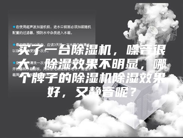 買了一臺除濕機，噪音很大，除濕效果不明顯，哪個牌子的除濕機除濕效果好，又靜音呢？