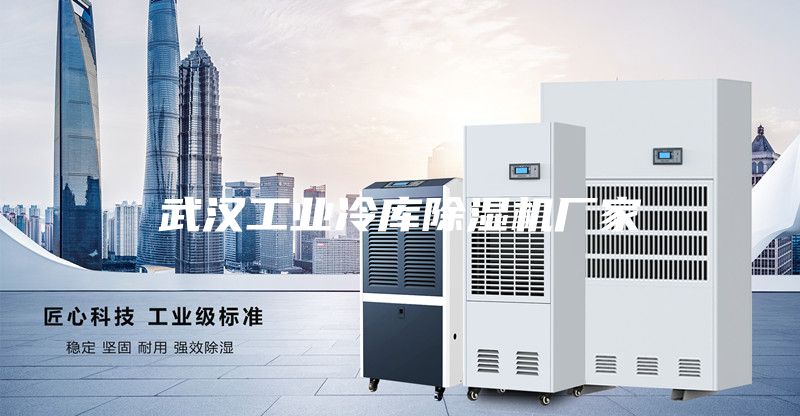 武漢工業冷庫除濕機廠家
