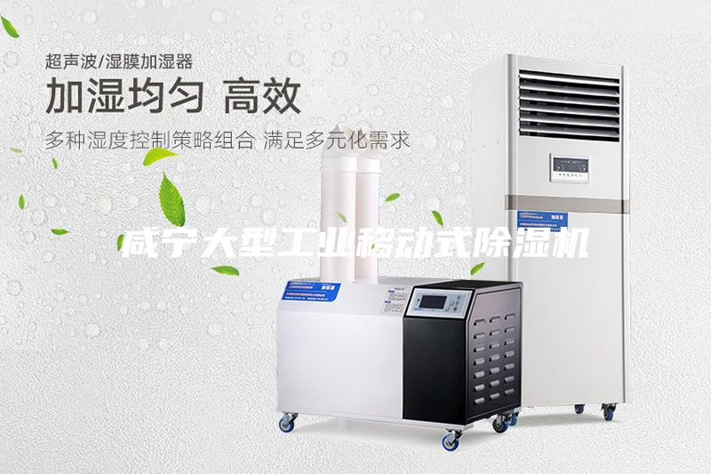 咸寧大型工業(yè)移動(dòng)式除濕機(jī)