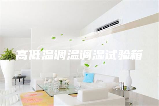 高低溫調溫調濕試驗箱