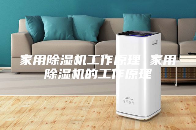 家用除濕機工作原理 家用除濕機的工作原理